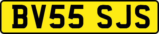 BV55SJS