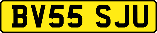 BV55SJU
