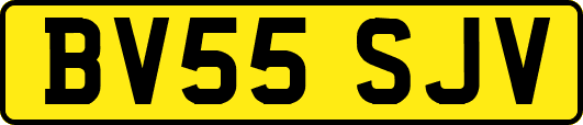 BV55SJV