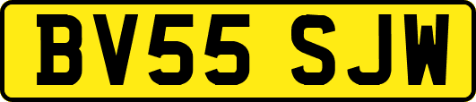 BV55SJW