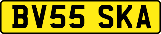 BV55SKA
