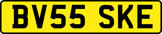 BV55SKE