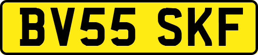 BV55SKF