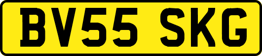 BV55SKG