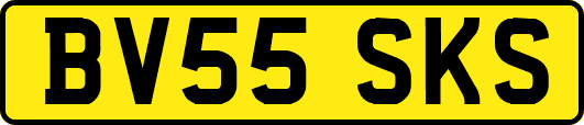BV55SKS