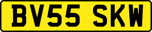 BV55SKW