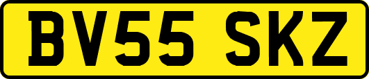 BV55SKZ
