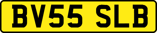 BV55SLB