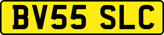 BV55SLC