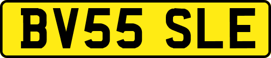 BV55SLE