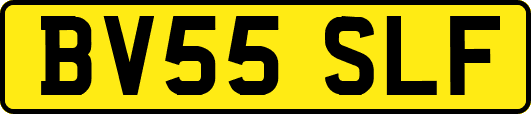 BV55SLF