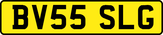 BV55SLG