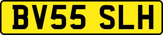 BV55SLH