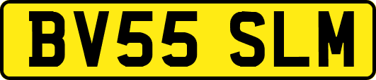 BV55SLM