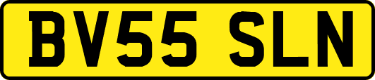 BV55SLN