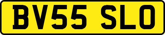 BV55SLO