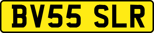 BV55SLR