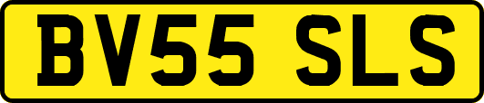 BV55SLS