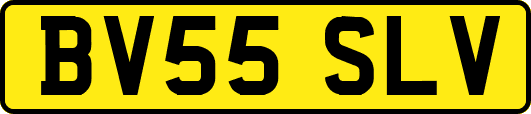 BV55SLV