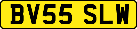 BV55SLW