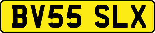 BV55SLX