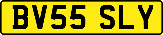 BV55SLY