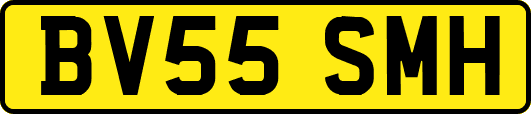 BV55SMH