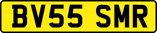 BV55SMR