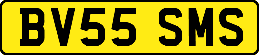BV55SMS