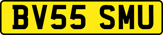 BV55SMU