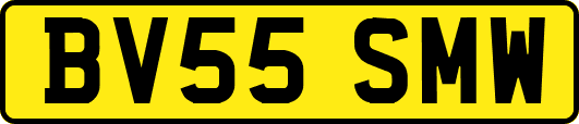 BV55SMW