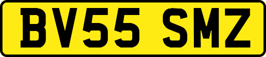 BV55SMZ