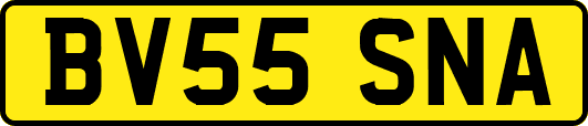 BV55SNA