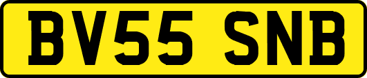 BV55SNB