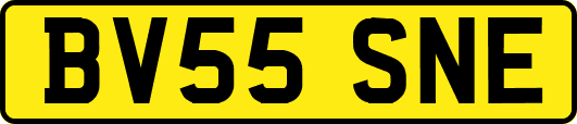 BV55SNE