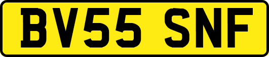 BV55SNF