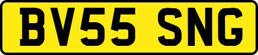 BV55SNG