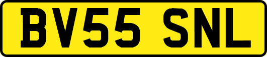 BV55SNL