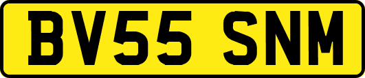 BV55SNM