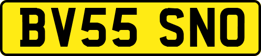 BV55SNO