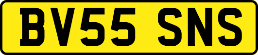 BV55SNS