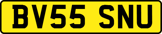 BV55SNU