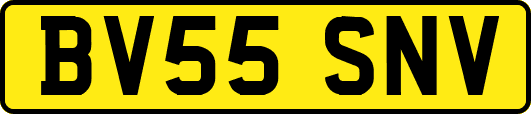 BV55SNV