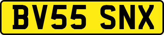 BV55SNX