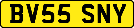 BV55SNY