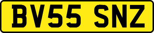 BV55SNZ