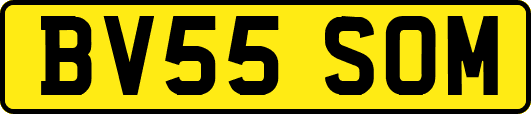 BV55SOM