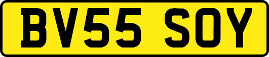 BV55SOY