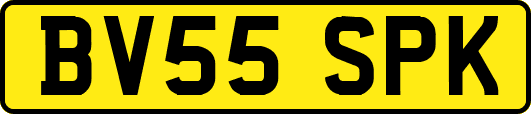 BV55SPK