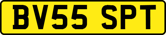 BV55SPT